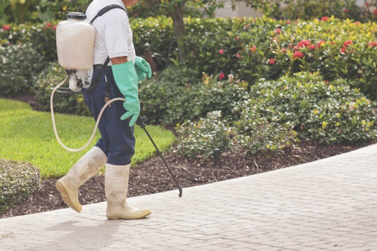 Spinosad for natural pest control